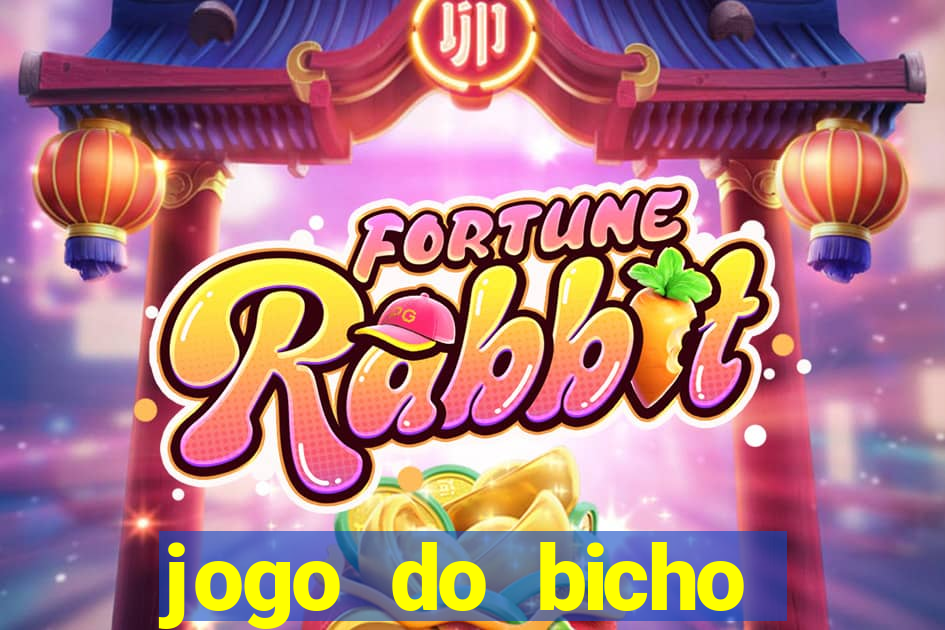 jogo do bicho tipos de apostas